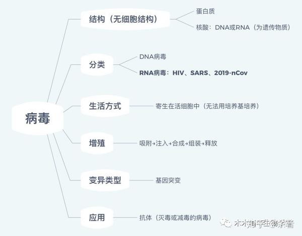 最新病毒總結(jié)報(bào)告，全面梳理與分析病毒動態(tài)