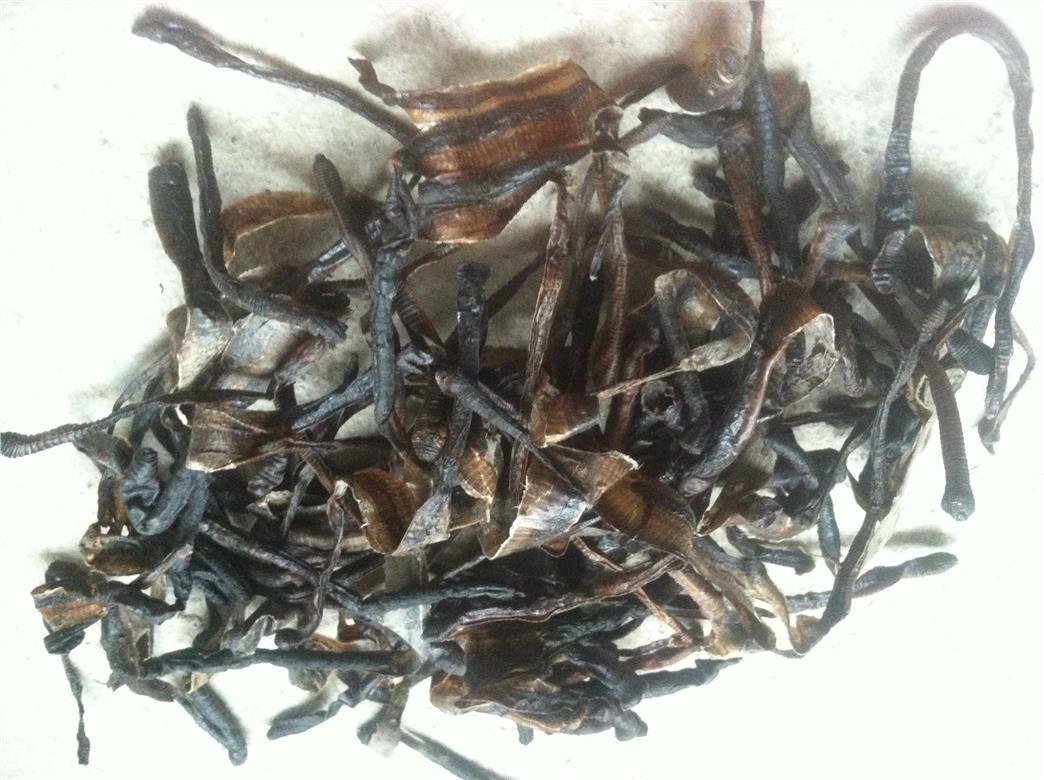 最新地龍器，科技重塑生活，未來觸手可及體驗升級