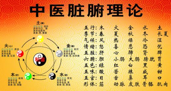 探索現代健康生活秘訣，最新養(yǎng)生知識匯總