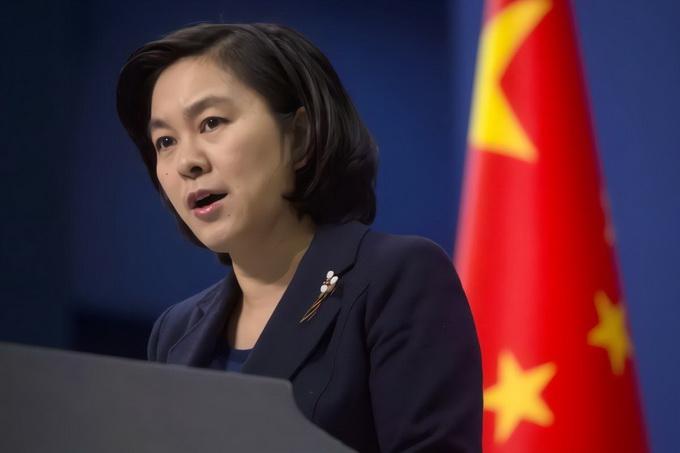 央視揭秘病毒疫情真相，全球關注與應對策略