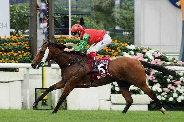 2024今晚香港開特馬,