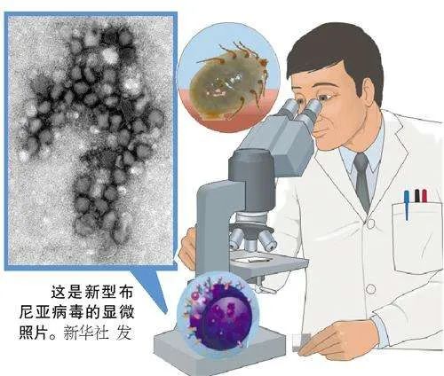 科技革新引領(lǐng)生活新篇章，新冠病毒最新動態(tài)與影響
