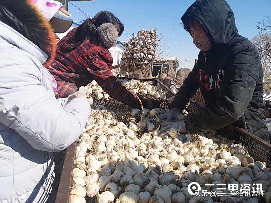 白城美食探秘，小巷深處的獨(dú)特風(fēng)味與隱藏的美食寶藏