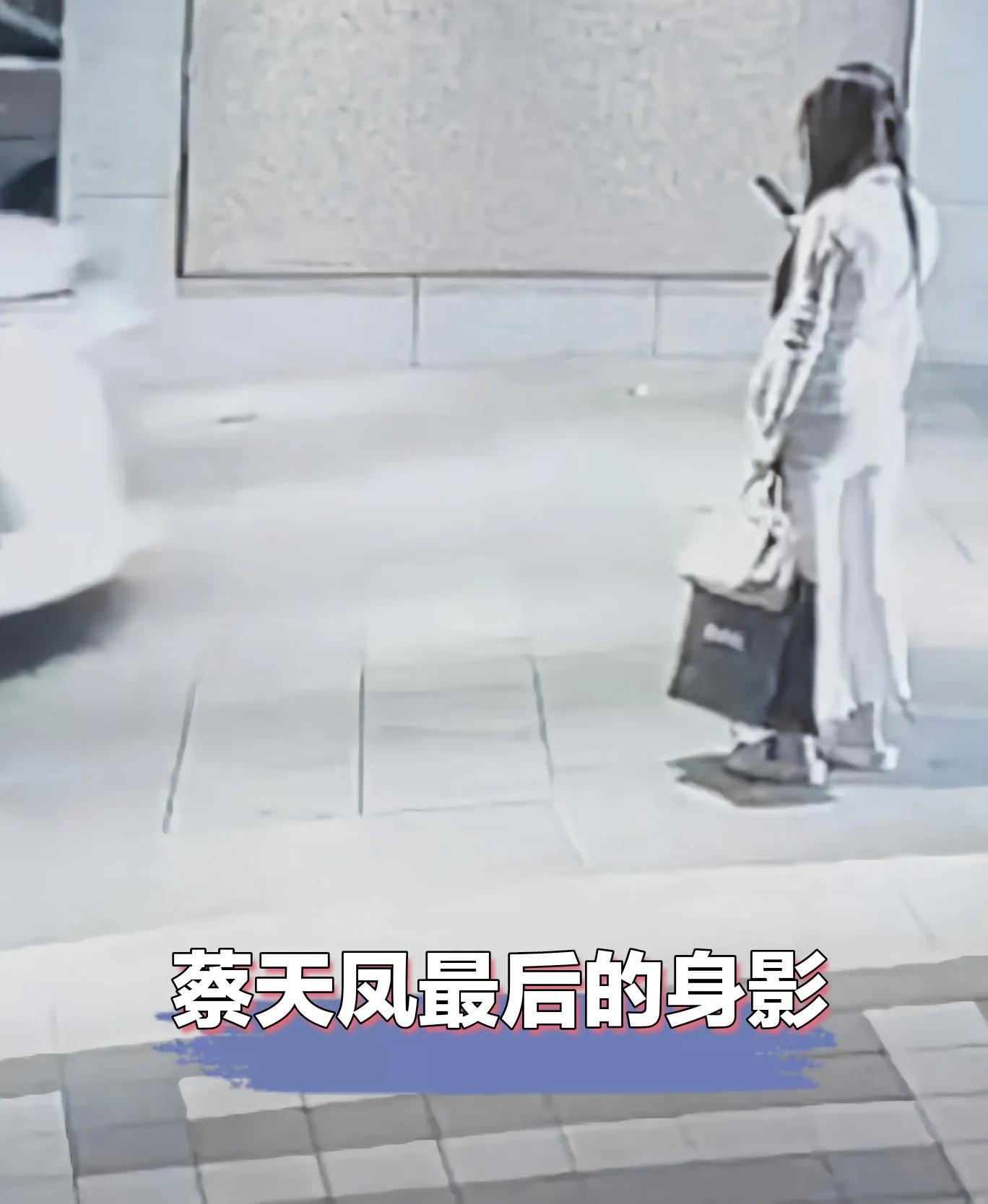 蔡天鳳最新動(dòng)態(tài)更新