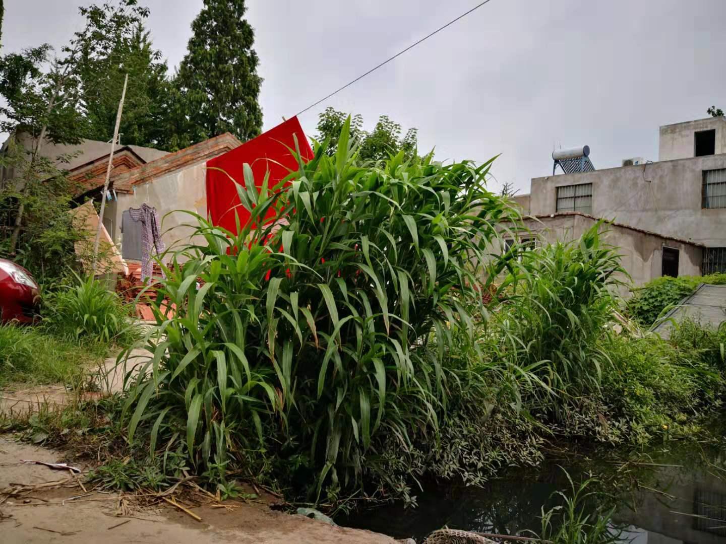 邳州宅基地出售信息詳解，歷史背景與當前地位