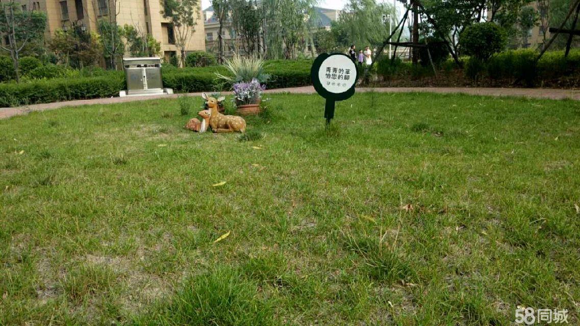 瑞基瀾鳳府最新動態(tài)更新速遞